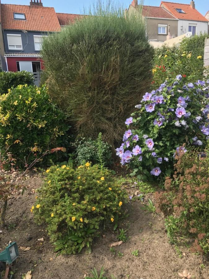 Maison Cozy Wimereux Villa Dış mekan fotoğraf